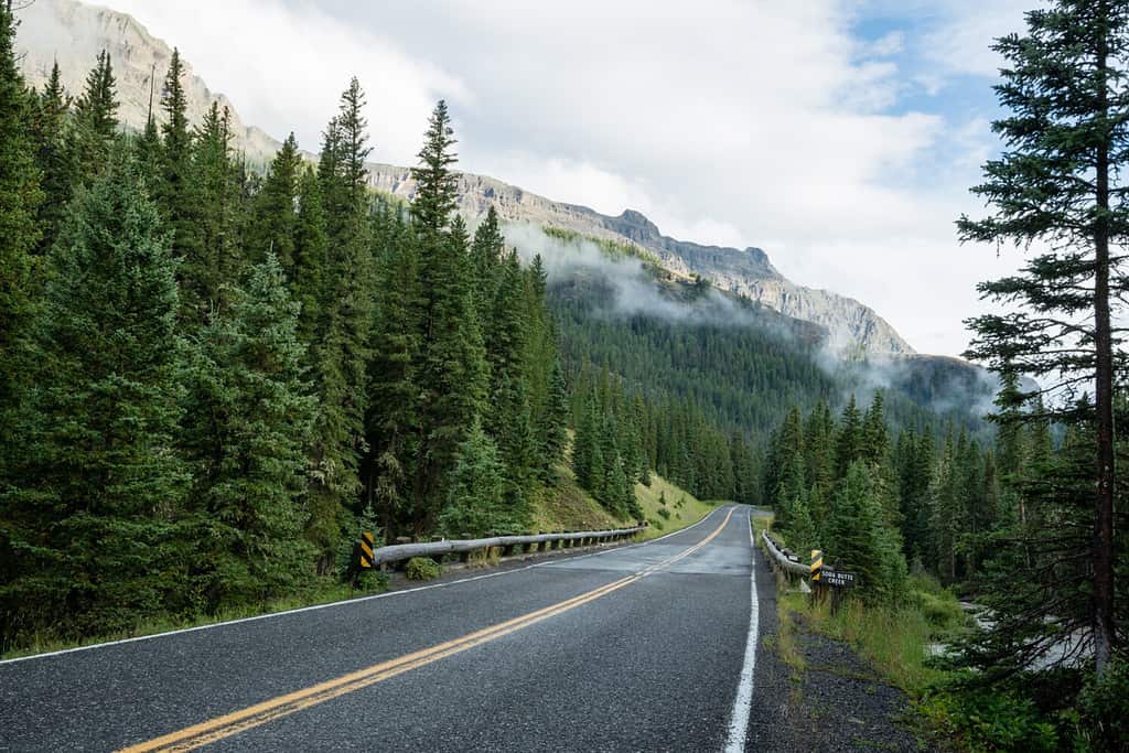 7 Things Yellowstone Is Known For and People Love and Hate About It