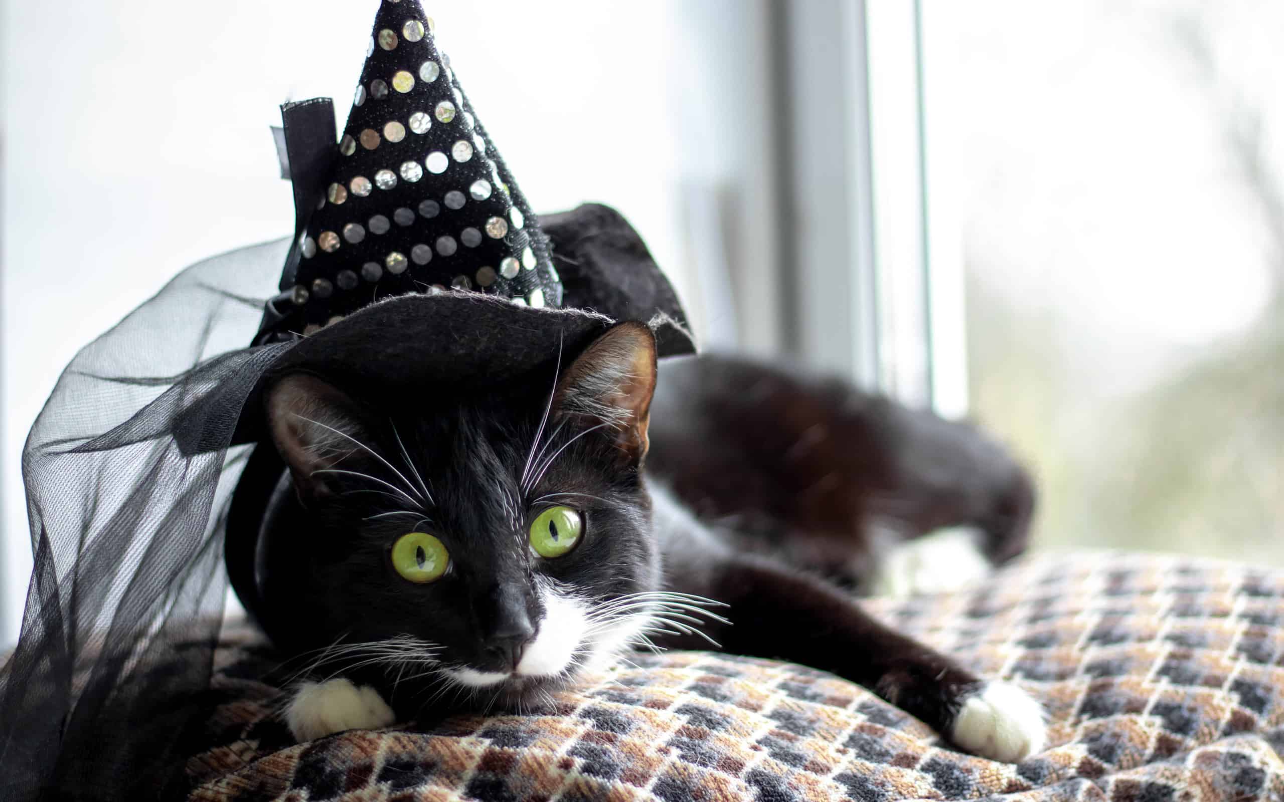 22 Countries that Celebrate Halloween in 2024