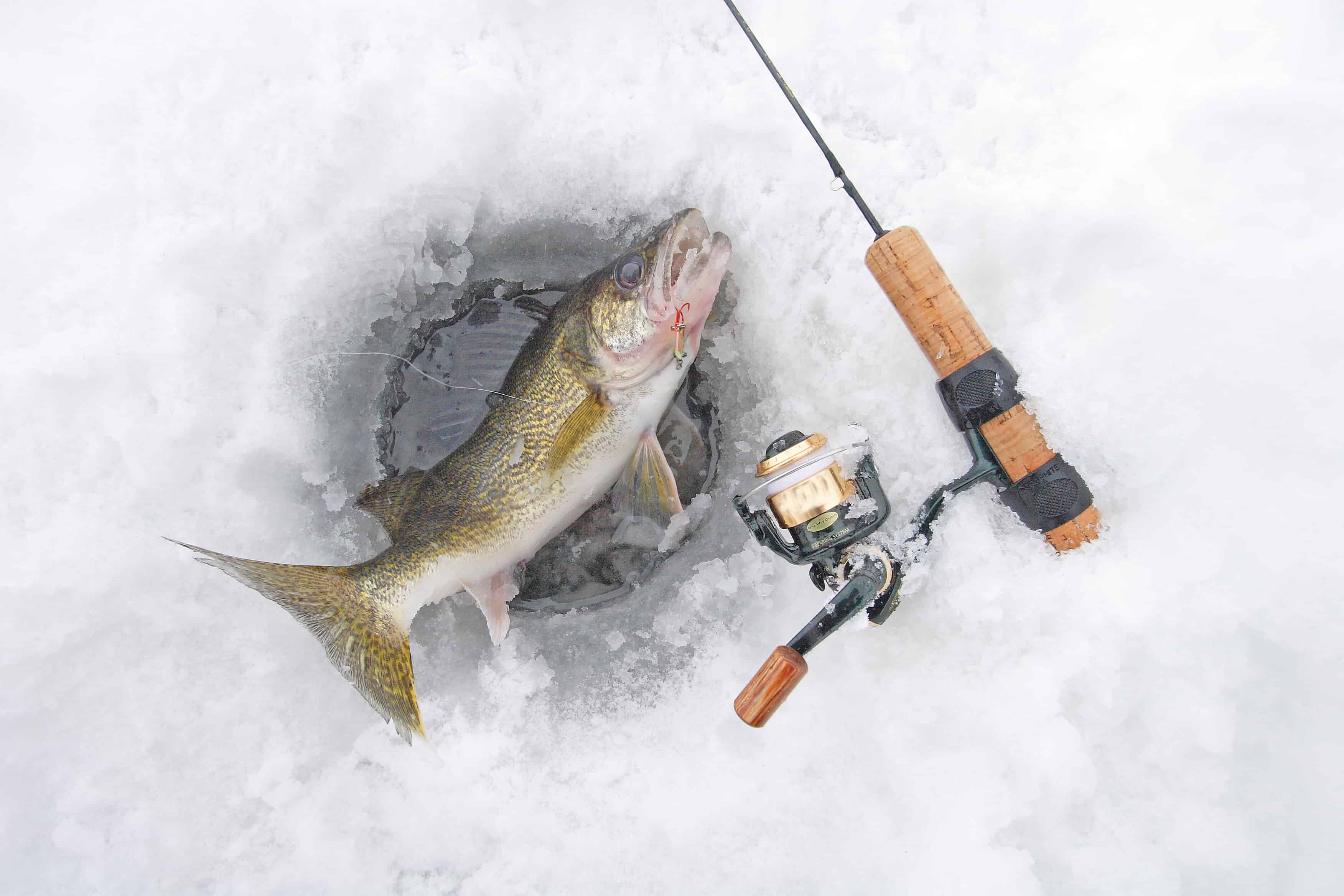 5 Lakes in Ontario that Completely Freeze Over in the Winter