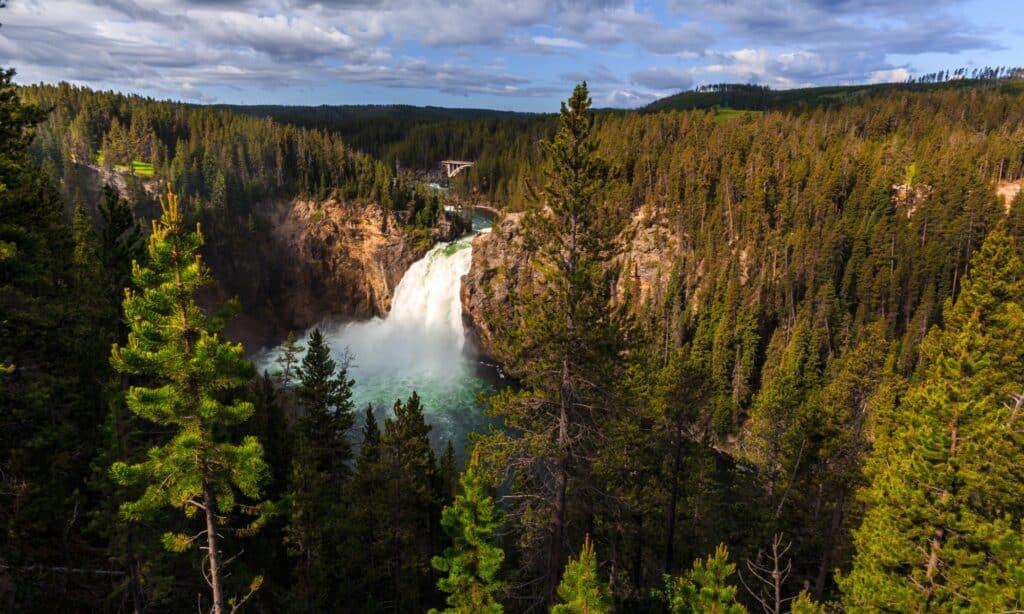 7 Things Yellowstone Is Known For and People Love and Hate About It