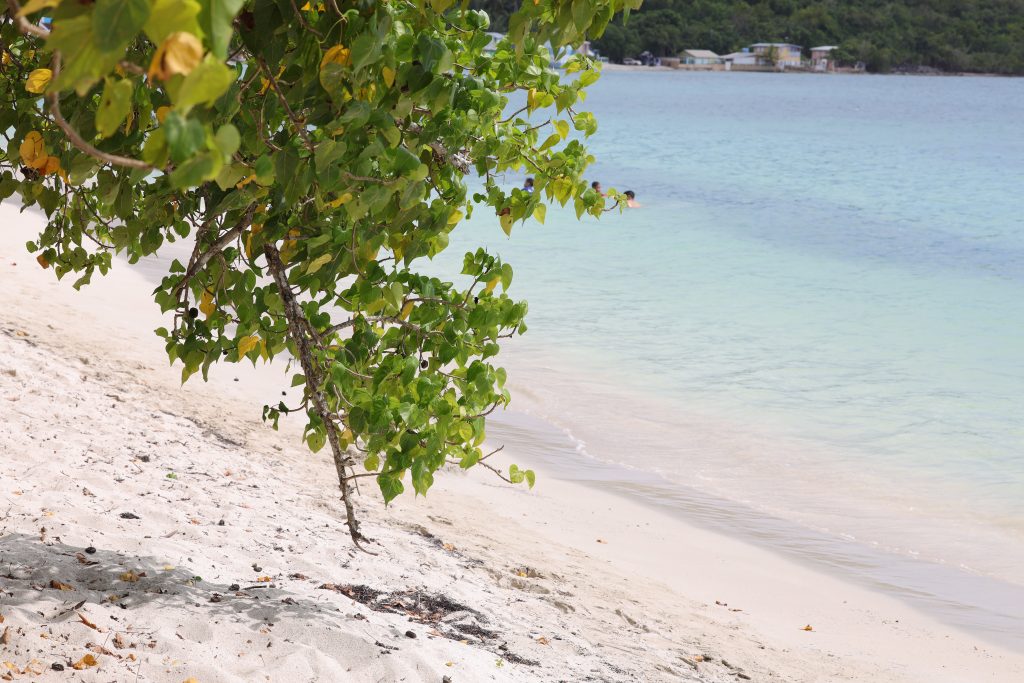 10 Beaches with the Clearest Water in Puerto Rico