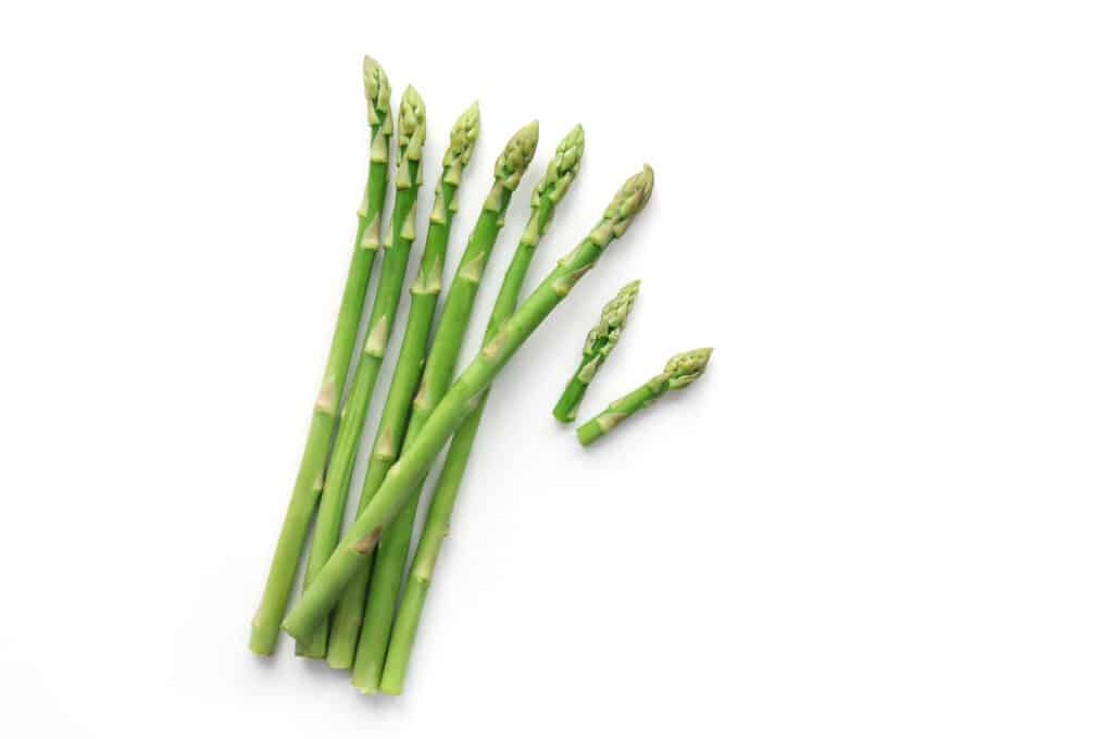 Yes, Rabbits Can Eat Asparagus! But Follow These 5 Tips