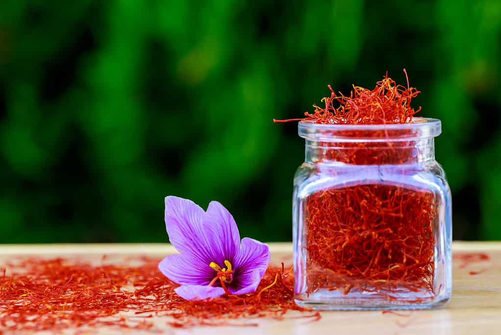 Saffron Prices per Pound in 2024: What to Expect When Buying