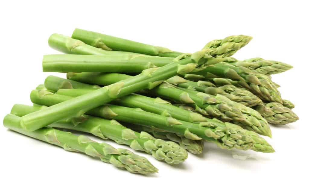 Yes, Rabbits Can Eat Asparagus! But Follow These 5 Tips