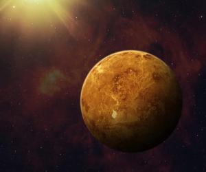 Venus Enters Capricorn 2024: Date, Time, and Significance for Your Sign