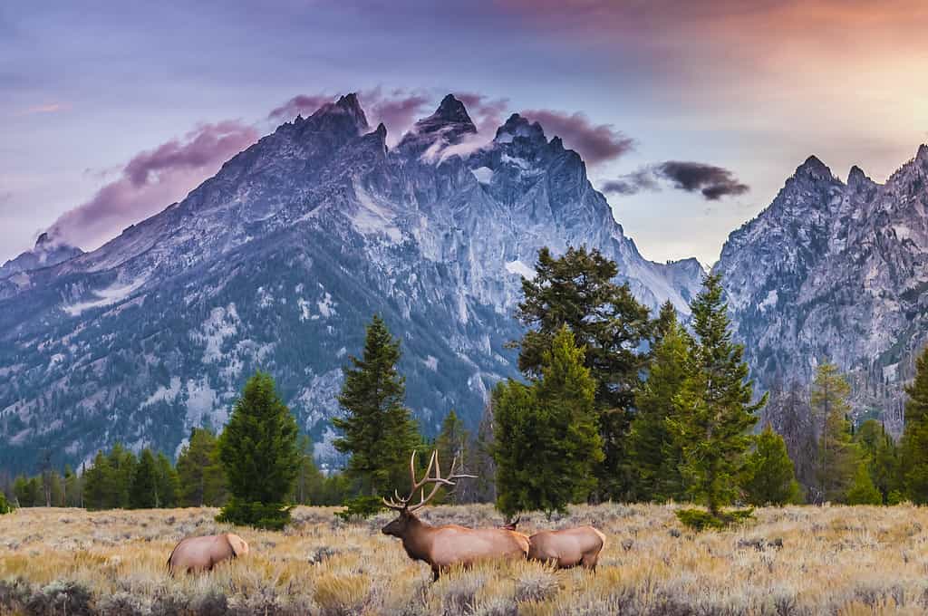 10 Mind-Blowing Facts About the Rocky Mountains