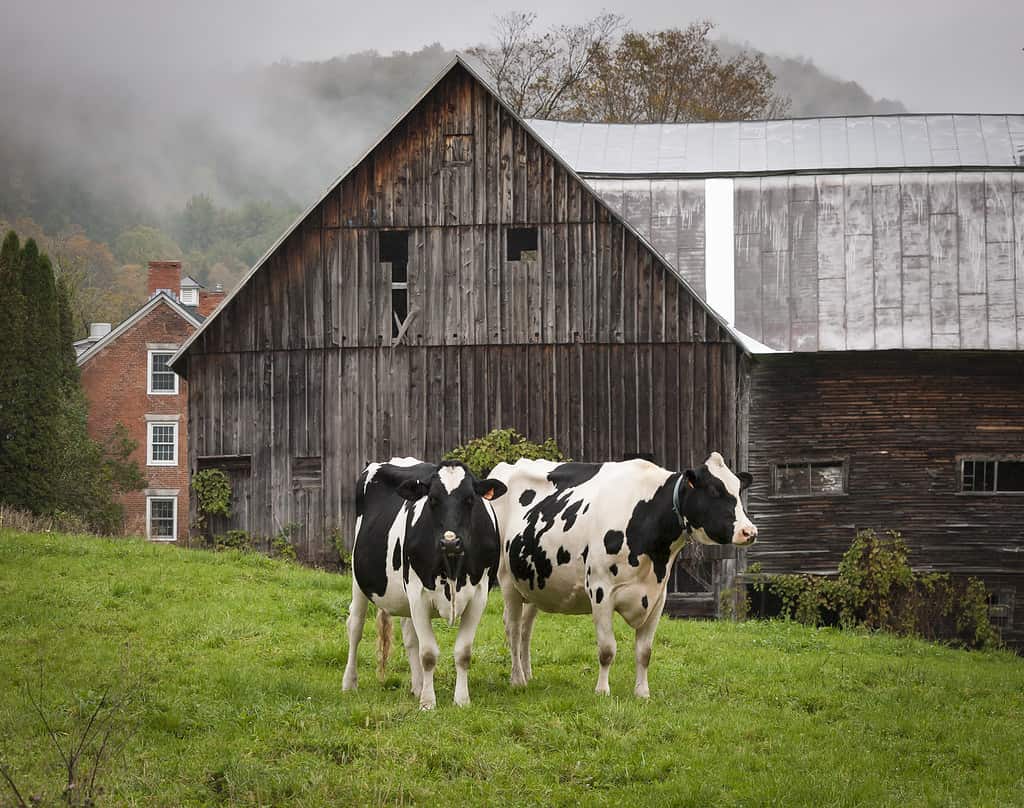 Where is Vermont? See its Map Location and Surrounding States