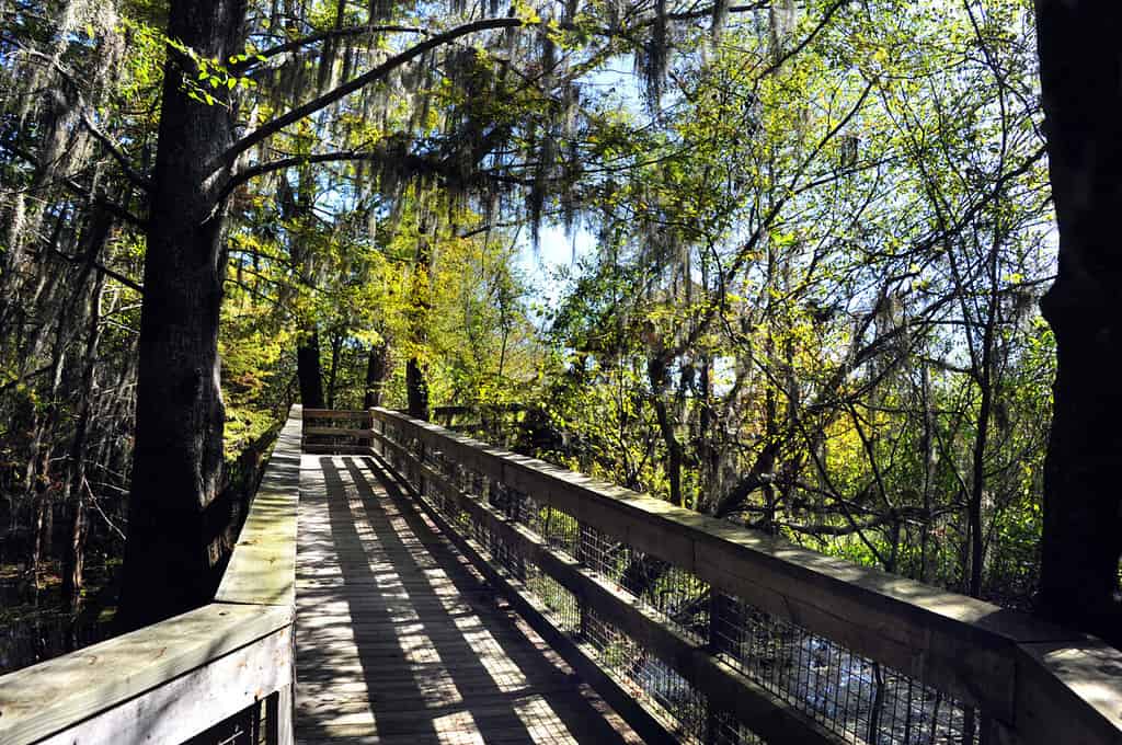 The 6 Most Beautiful Places to Live In Louisiana That Are Still Affordable