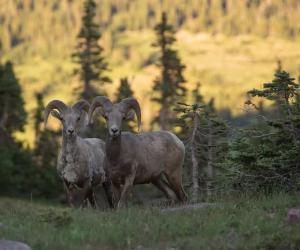 10 Mind-Blowing Facts About the Rocky Mountains