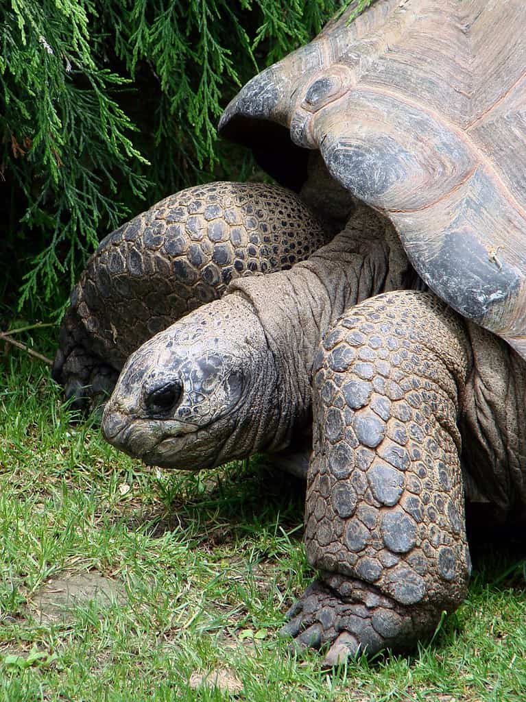 Discover 10 Amazing Zoos and Aquariums With Manatees