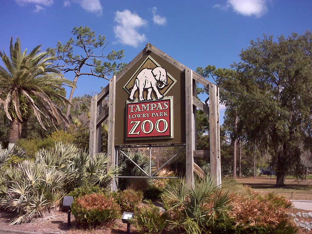 Discover 10 Amazing Zoos and Aquariums With Manatees