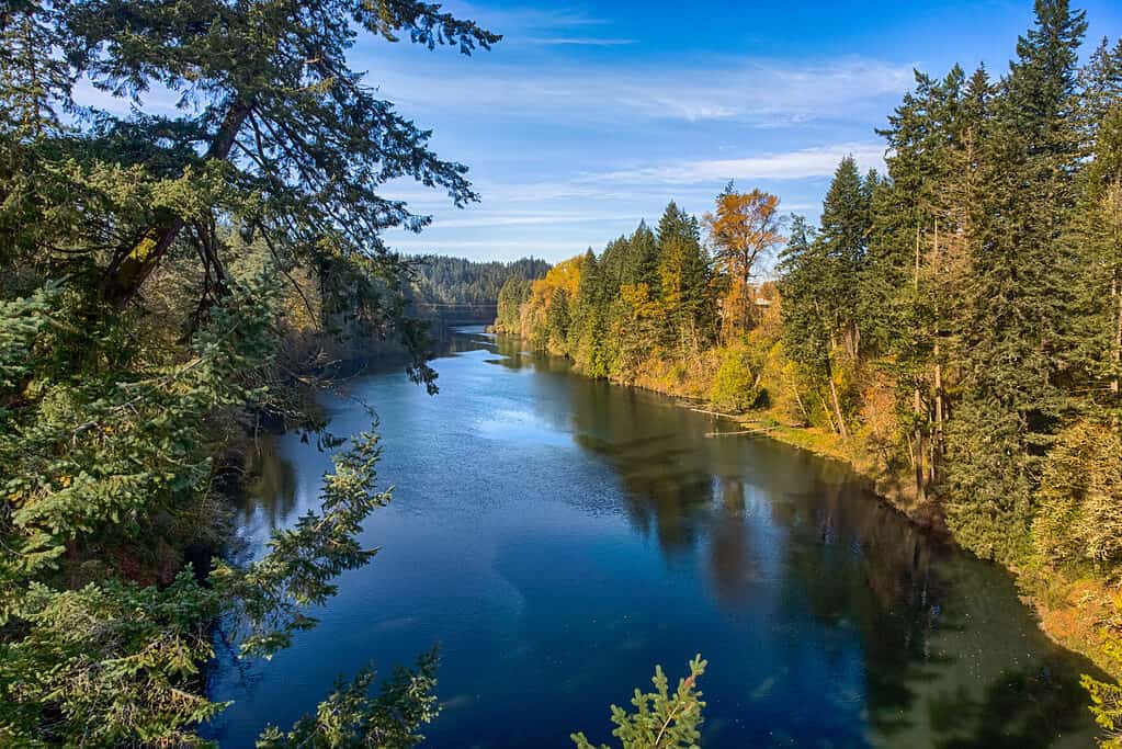 How Deep Is the Clackamas River?