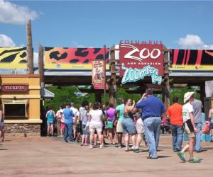 Discover 10 Amazing Zoos and Aquariums With Manatees