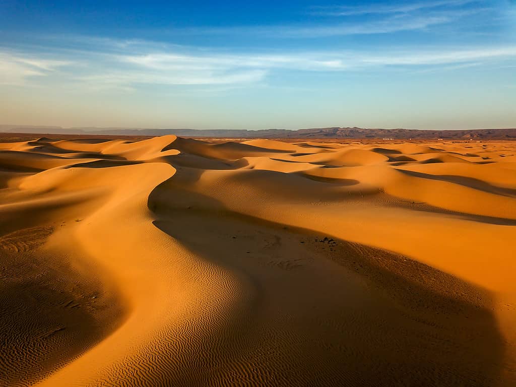 Sahara Desert Rainfall: How Much Rain Does the Epic Desert Get?