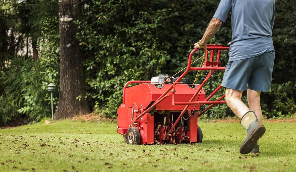 12 Critical Yard Care Tips You Need to Follow in January