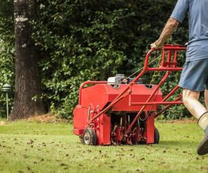 12 Critical Yard Care Tips You Need to Follow in January