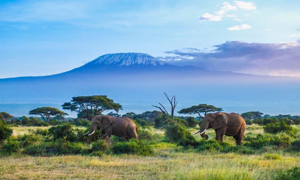 10 Incredible Facts About the Mount Kilimanjaro