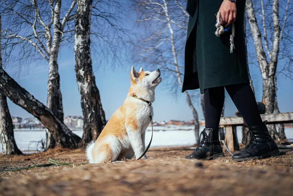 Dog Park Etiquette: 6 Things NOT To Do