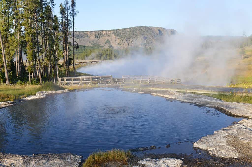 10 Incredible Facts About Yellowstone National Park