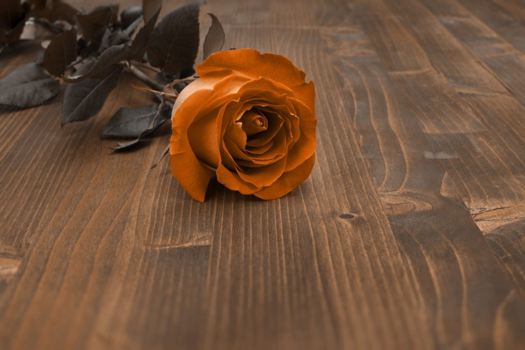 The Right Rose Color for Your Anniversary by Year