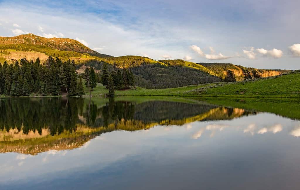 10 Incredible Facts About Yellowstone National Park