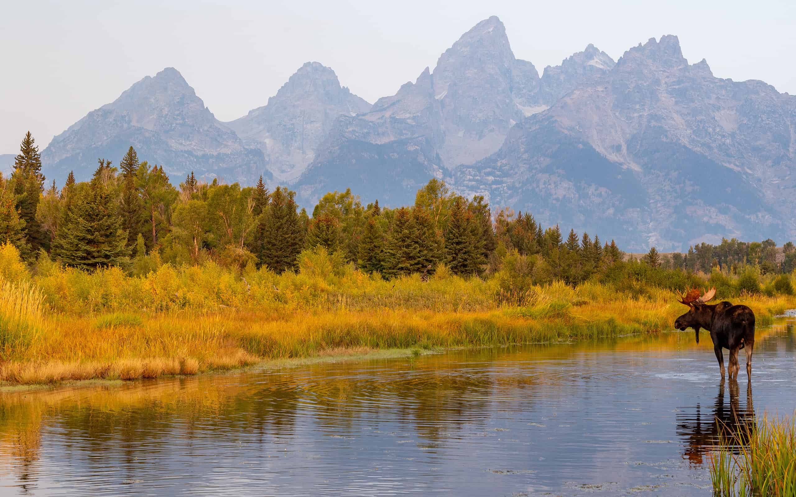 11 Secretly Amazing Places to Retire in Wyoming