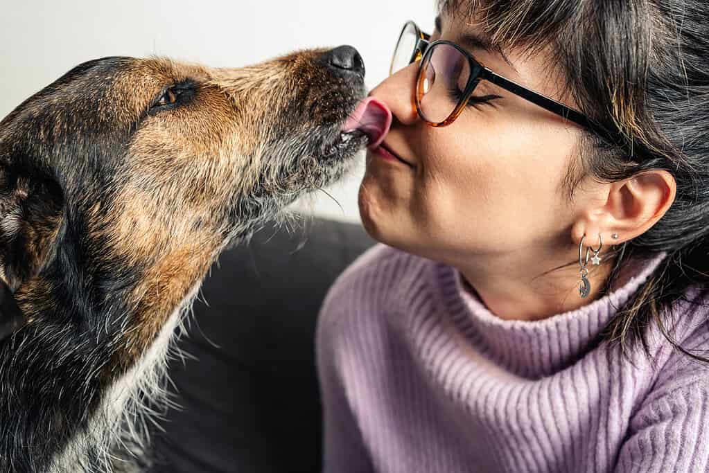 Can Your Dog Catch Your Cold? Sicknesses That Pass Between Dogs and People