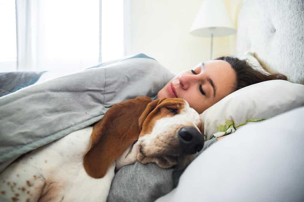 Can Your Dog Catch Your Cold? Sicknesses That Pass Between Dogs and People