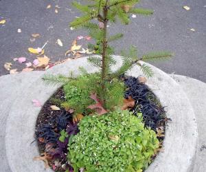 The Smallest Park in the World Is Hilariously Tiny