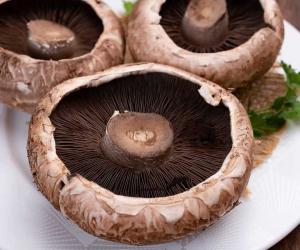 6 Types of Gilled Mushrooms