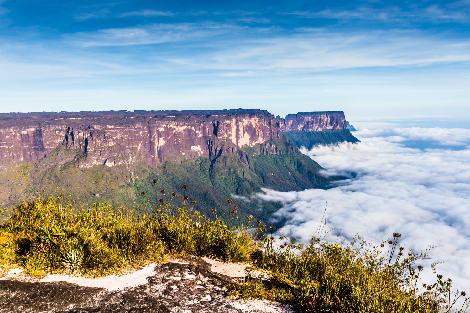 Discover the Amazing Tabletop Mountains (Tepuis) of Venezuela