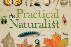This summer, DK will take you to know nature and become a little naturalist