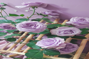 Wallpaper with purple roses