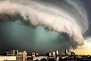 The Power of Nature: 25 Amazing Nature Wildlife Photos