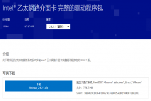 Windows Service 中安裝網卡敺動