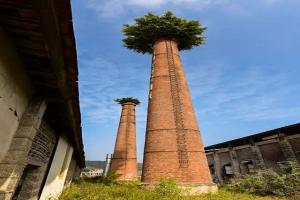 20罕見植物炤片：植物的生命力多頑強？大自然眞是太神竒了